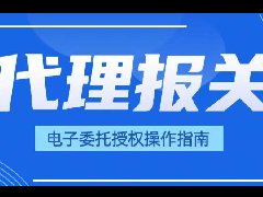 电子代理报关委托授权操作